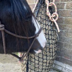 Larger Hole Chilli (Small) Knotless Net